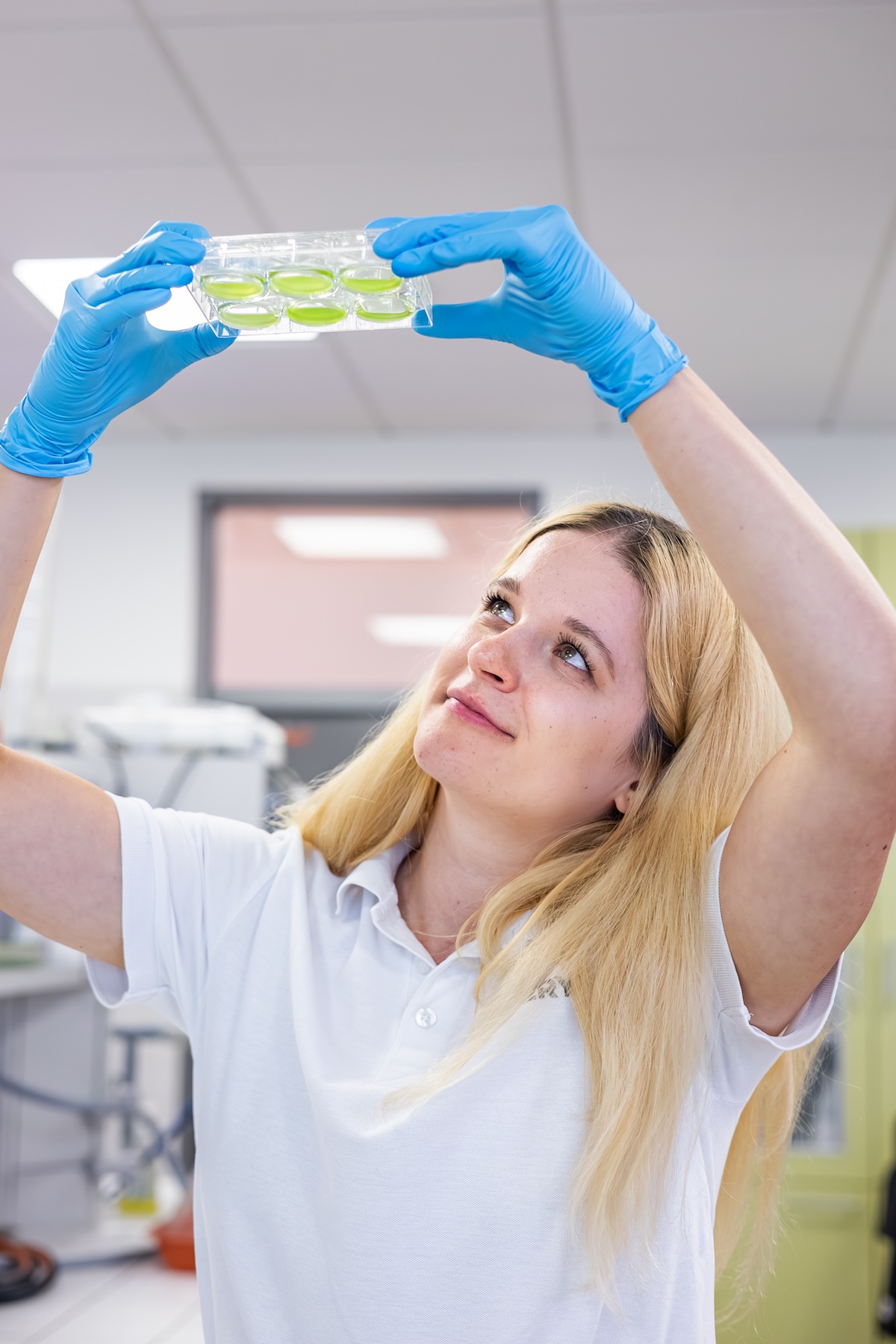 Mewery researcher working in the laboratory